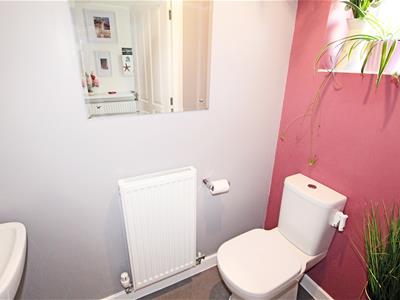 Picture 7